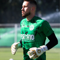 HORUS 2.0 ELITE GOLD