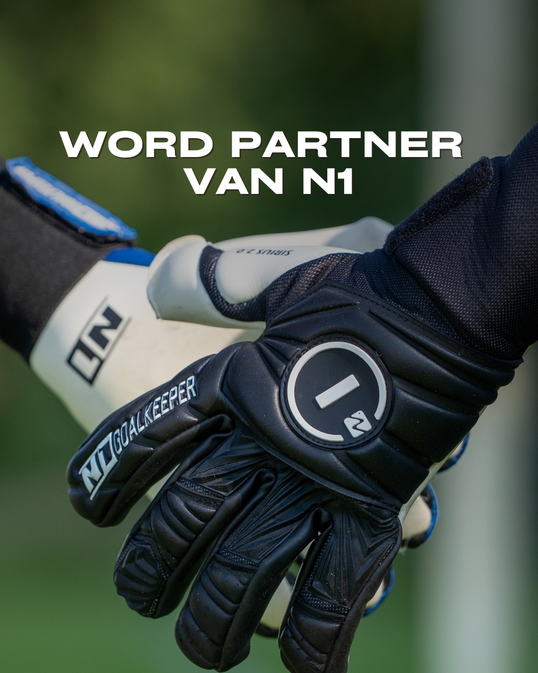 N1 Clubs & Academies NL